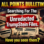 All Points Bulletin: Unredacted TrumpStein Files